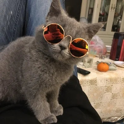 60s RetroVision Pet Sunglasses