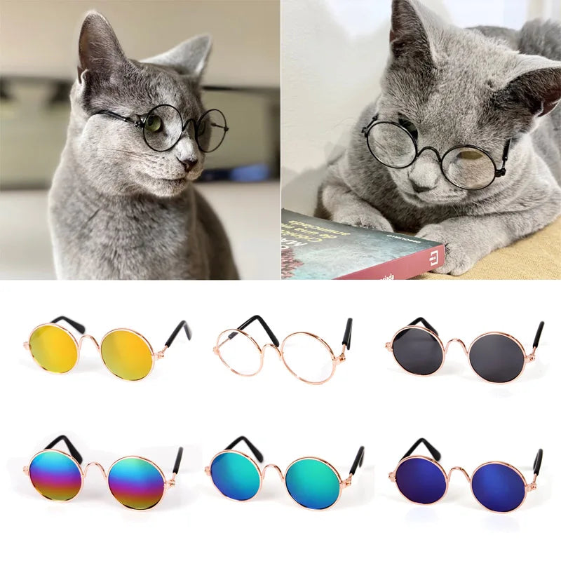 60s RetroVision Pet Sunglasses