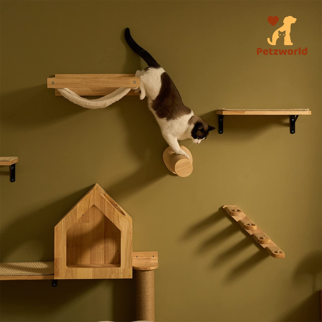 Wall Mounted Kitty Paradise