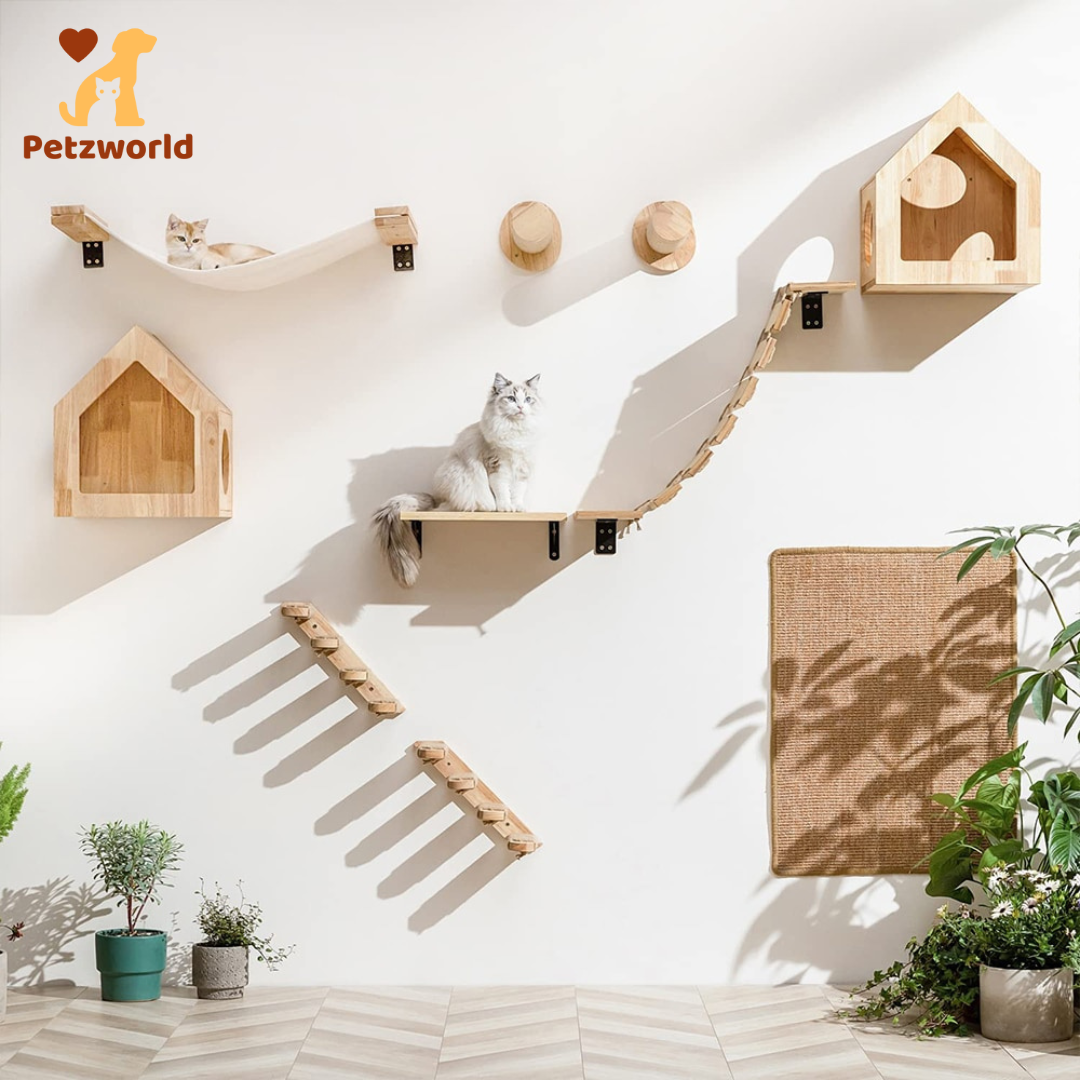 Wall Mounted Kitty Paradise