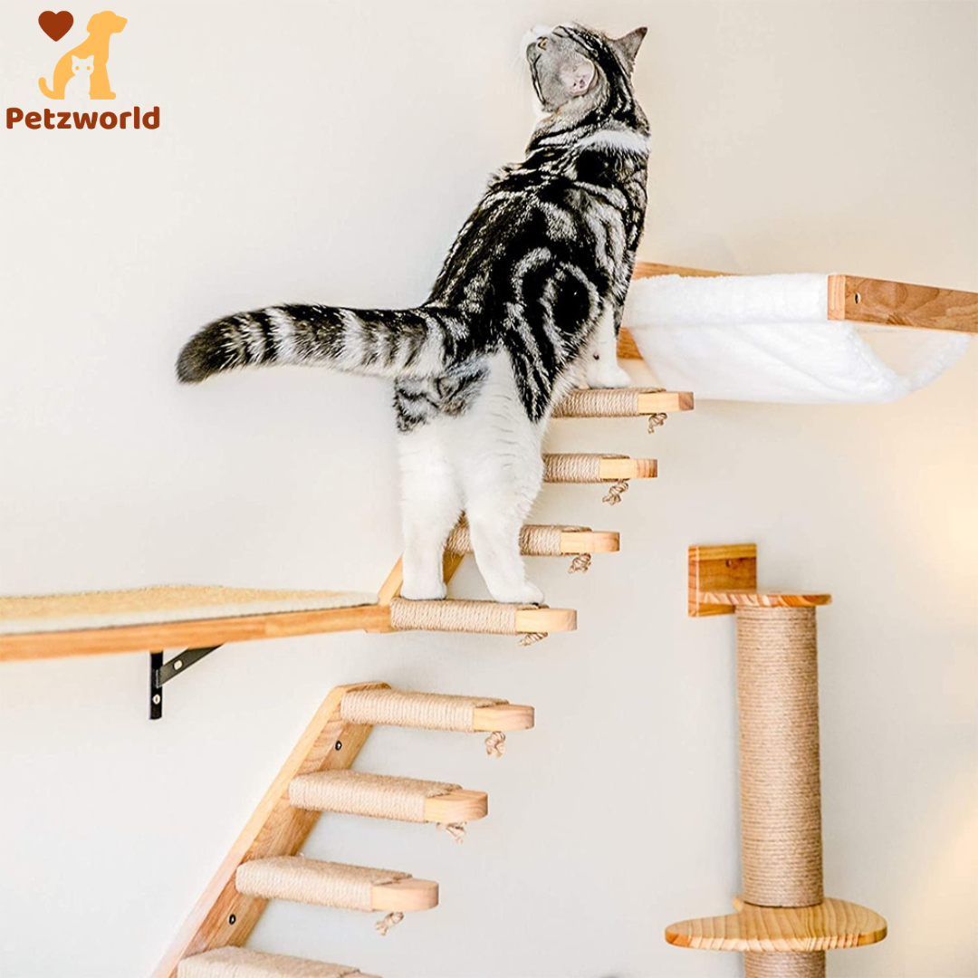 Wall Mounted Kitty Paradise
