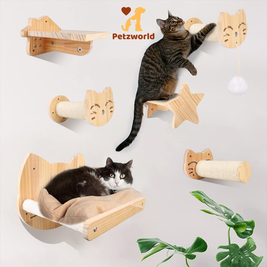 Wall Mounted Kitty Paradise