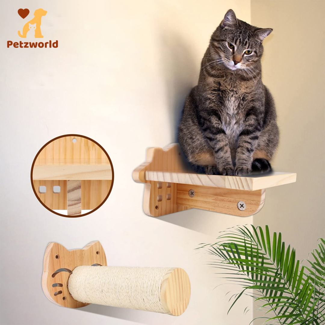 Wall Mounted Kitty Paradise