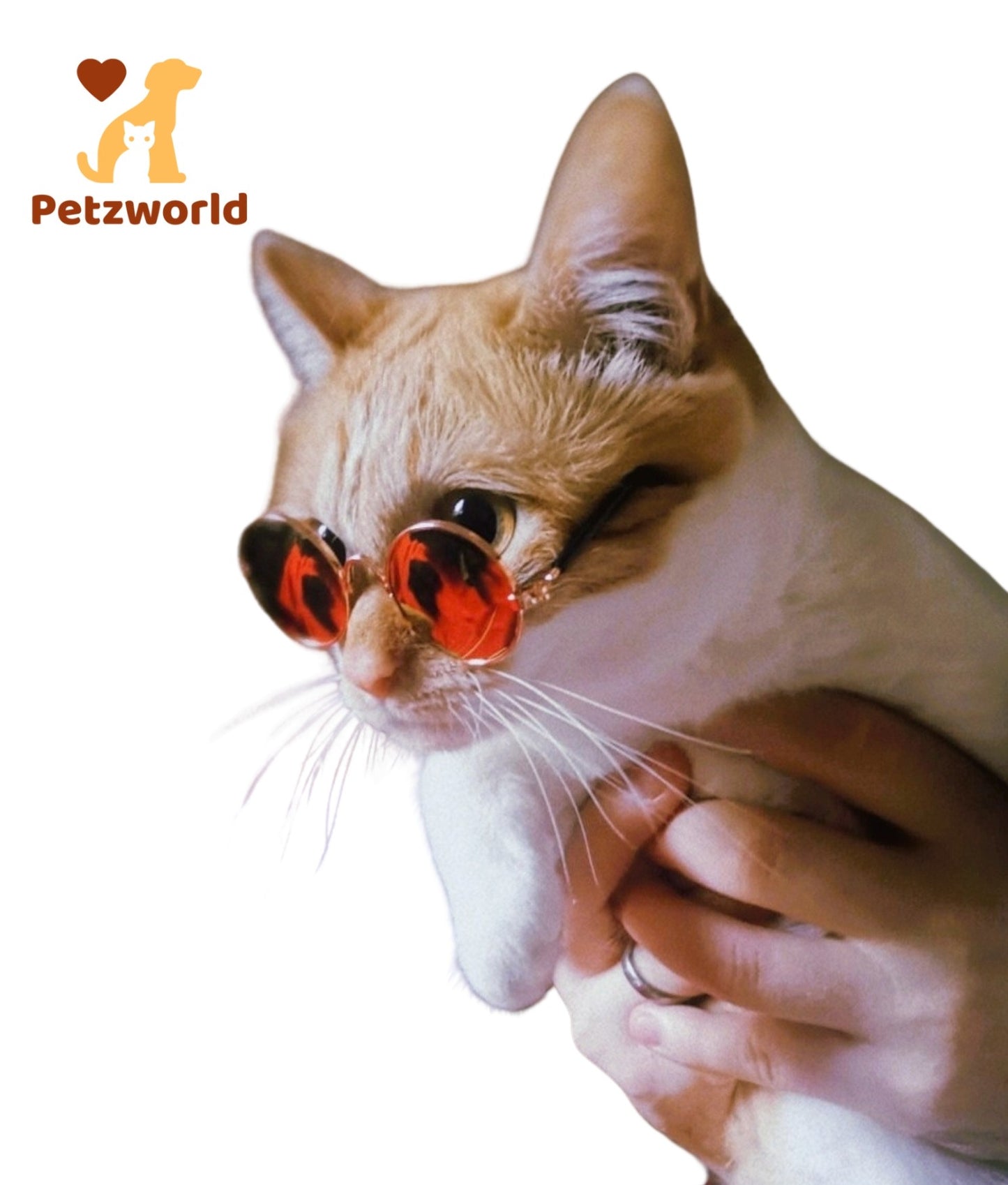 60s RetroVision Pet Sunglasses